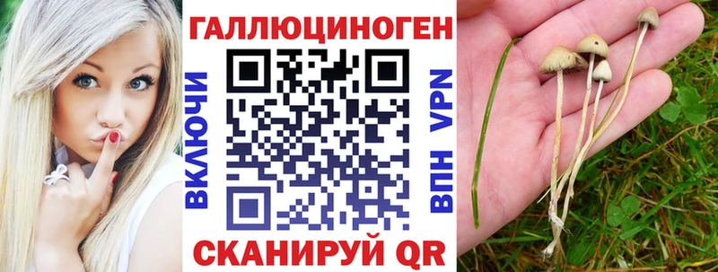 Псилоцибиновые грибы Magic Shrooms  Советская Гавань 